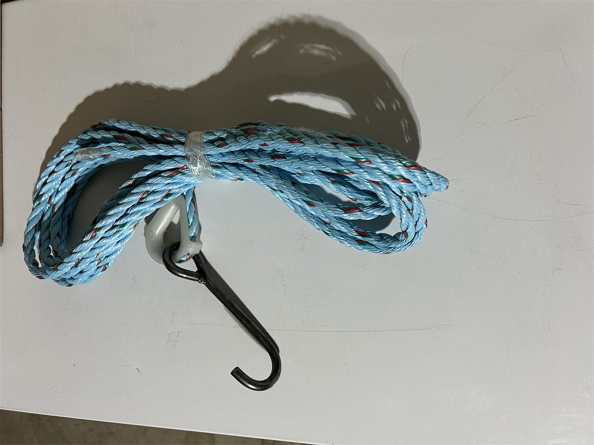 25 ft Rope & Hook, product photograph